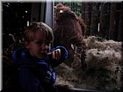 DSCN0139.JPG