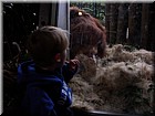 DSCN0140.JPG