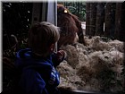 DSCN0141.JPG