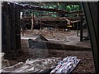DSCN0143.JPG