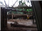 DSCN0146.JPG