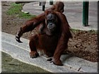 DSCN0148.JPG