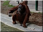 DSCN0149.JPG