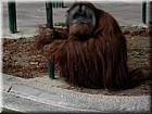 DSCN0151.JPG