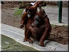 DSCN0158.JPG
