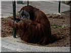DSCN0160.JPG