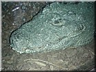 DSCN0174.JPG