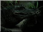 DSCN0177.JPG