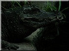 DSCN0178.JPG