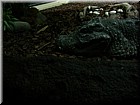 DSCN0182.JPG