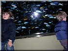 DSCN0186.JPG