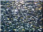 DSCN0187.JPG