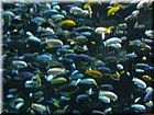 DSCN0189.JPG