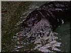 DSCN0191.JPG