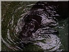 DSCN0192.JPG