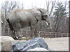 DSCN0195.JPG