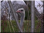 DSCN0200.JPG