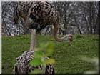 DSCN0201.JPG