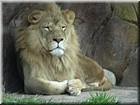 DSCN0203.JPG