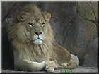 DSCN0204.JPG